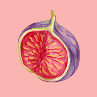 Fig